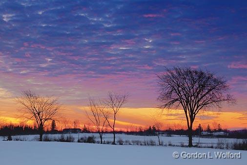 Trees At Sunrise_13124.jpg - Photographed at Ottawa, Ontario - the capital of Canada.